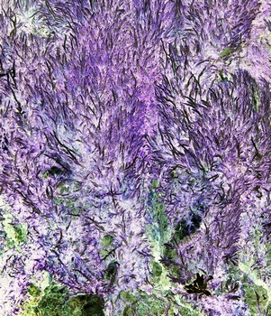N 165A